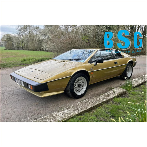 Lotus S3 Windscreen - Windscreen